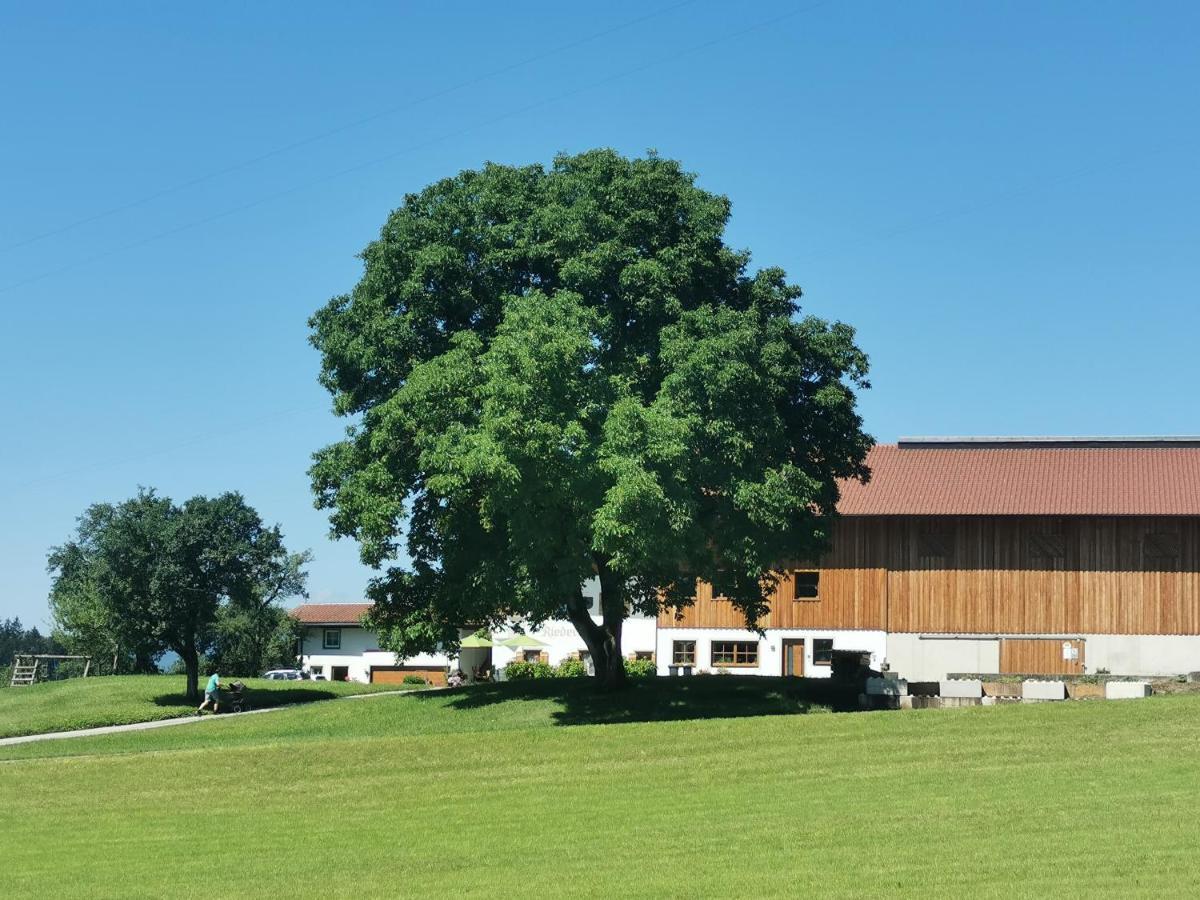 Biobauernhof Und Ferienhaus Riederbauer Rettenschöss Εξωτερικό φωτογραφία